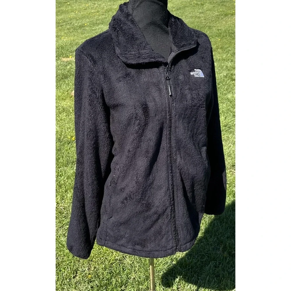 The North Face brand north